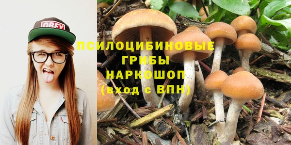 Альфа ПВП Абдулино
