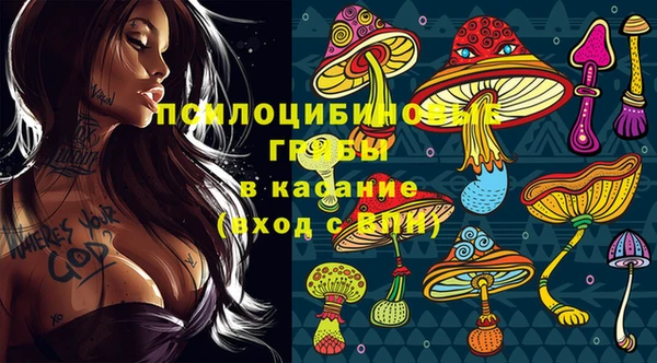 Альфа ПВП Абдулино